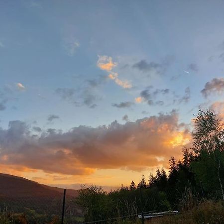 Panorama Sucha Gora ,Lesny Domek Skawica  Eksteriør bilde