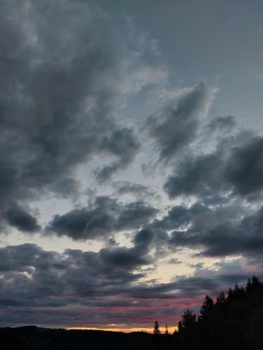 Panorama Sucha Gora ,Lesny Domek Skawica  Eksteriør bilde