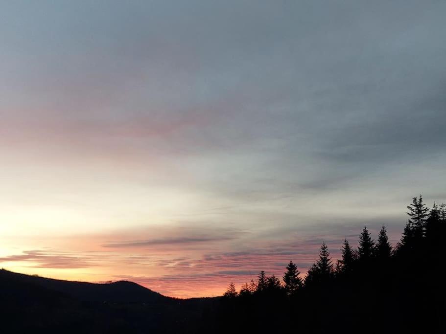 Panorama Sucha Gora ,Lesny Domek Skawica  Eksteriør bilde