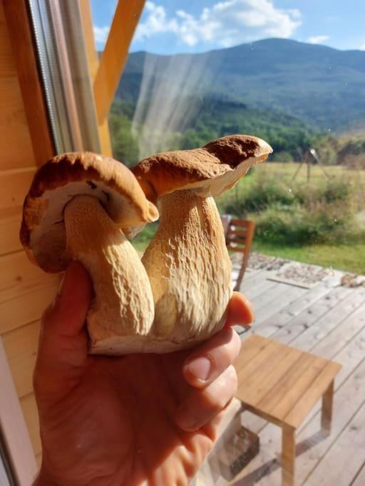 Panorama Sucha Gora ,Lesny Domek Skawica  Eksteriør bilde