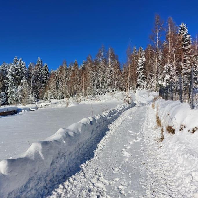 Panorama Sucha Gora ,Lesny Domek Skawica  Eksteriør bilde