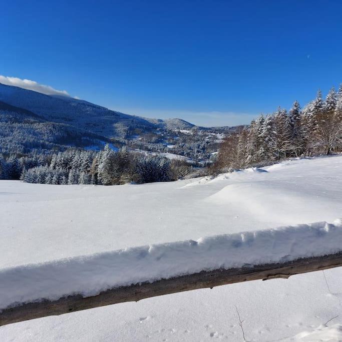 Panorama Sucha Gora ,Lesny Domek Skawica  Eksteriør bilde