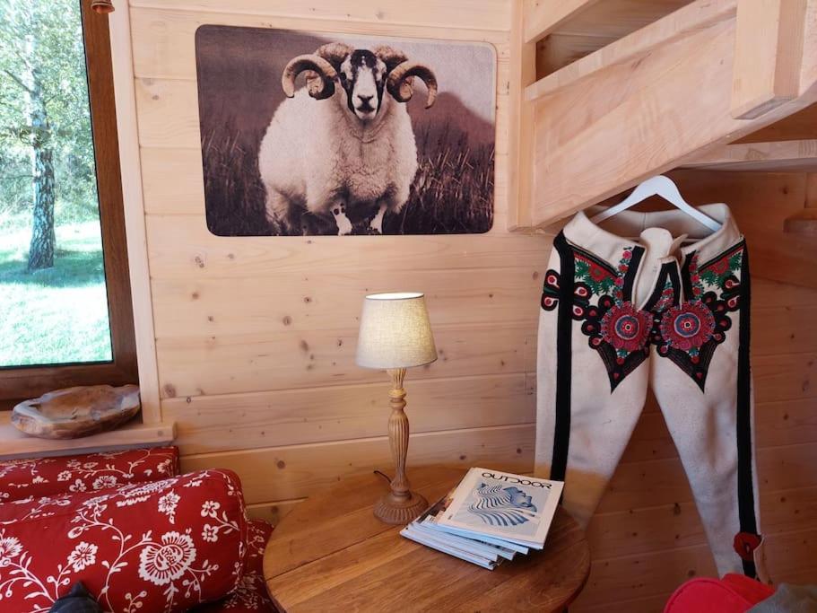 Panorama Sucha Gora ,Lesny Domek Skawica  Eksteriør bilde