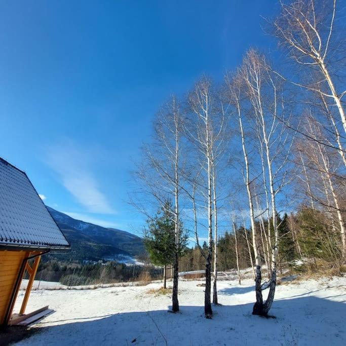 Panorama Sucha Gora ,Lesny Domek Skawica  Eksteriør bilde